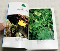 夢の森みちくさガイドブック　（吾川村　現仁淀川町）