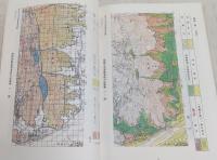 高知県春野町における竹林拡大の実態調査報告書