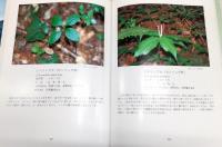 四万十川の植物自然：四万十川植生観察副読本