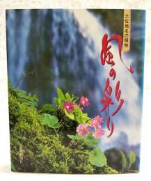 風の彩り : 土佐地名の植物