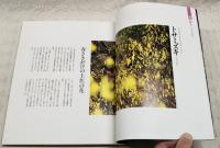風の彩り : 土佐地名の植物