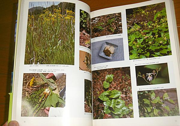 新装版 食べられる野生植物大事典 草本・木本・シダ / ぶっ