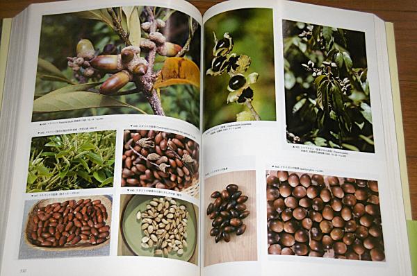 新装版 食べられる野生植物大事典 草本・木本・シダ / ぶっ