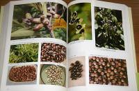 新装版　食べられる野生植物大事典　草本・木本・シダ