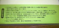 新装版　食べられる野生植物大事典　草本・木本・シダ