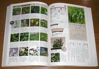 育てる調べる山野草2525種