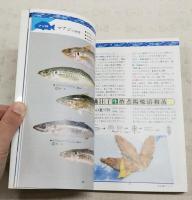 土佐魚のすべて　シリーズ・四国の自然博物館