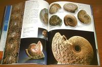 「NHK地球大紀行展」図録