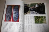 シルクロードと大谷探検隊 ; 石見銀山遺跡の輝き　【季刊　文化遺産vol.11】