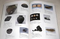 勝山城 : 氏家氏栄光の時代 : 廃城400年特別展