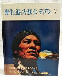 野牛を追うスー族インディアン