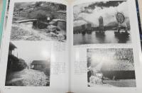 目で見る高知・南国の100年