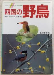 四国の野鳥