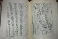 東西文化の交流 : 新シルクロード論