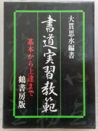 書道実習教範 : 基本から上達まで
