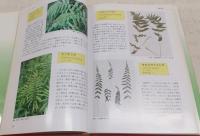 高知県レッドデータブック[植物編] : 高知県の絶滅の恐れのある野生生物