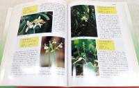 高知県レッドデータブック[植物編] : 高知県の絶滅の恐れのある野生生物