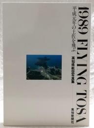 1989 flying Tosa : 平成元年の土佐を飛ぶ 高知県航空写真集