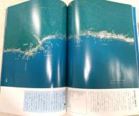 高知の海と釣り : 航空カラー写真で見る フィッシング・ポイント最新情報