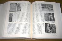 仏教文化事典　(釈尊と仏教思想/諸仏・諸尊/仏教聖典/修行と解説/僧伽と寺院/仏教の歴史的展開…他)