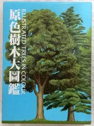 原色樹木大圖鑑