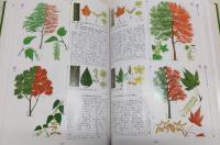 原色樹木大圖鑑