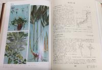 新訂増補　原色日本野外植物図譜　全3巻揃い＋別冊総索引(1、春から初夏/2、夏・高山植物/3、秋から冬)
