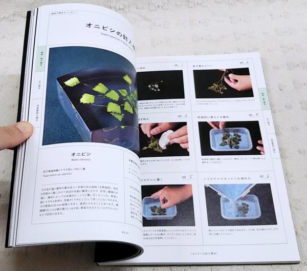 樹脂封入標本の作り方 中古　美品 樹脂封入標本の作り方 : 生物を美しく記録する魔法の工作(根津