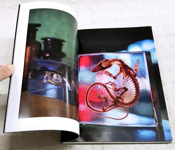 樹脂封入標本の作り方 中古　美品 樹脂封入標本の作り方 : 生物を美しく記録する魔法の工作(根津