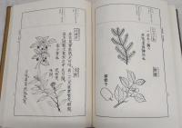 大和本草　全2巻