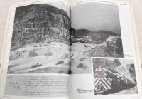 レトロ南国 : 南国市制30周年記念写真集