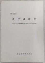 高知県南国市 田村遺跡群 高知空港拡張整備事業に伴う埋蔵文化財調査概要