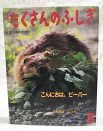 こんにちは、 ビーバー