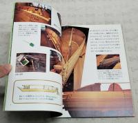 カヌー森から海へ