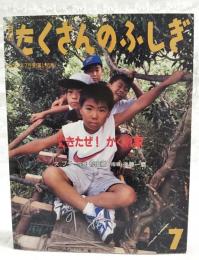 できたぜ!かくれ家