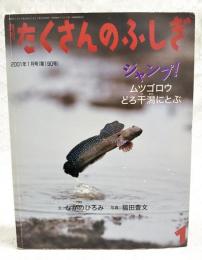 ジャンプ! : ムツゴロウどろ干潟にとぶ