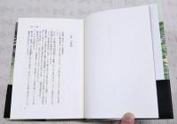 戊辰秘策 : 小説・輪王寺宮公現
