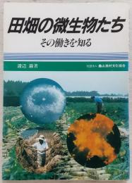 田畑の微生物たち : その動きを知る