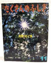 光をつむぐ虫