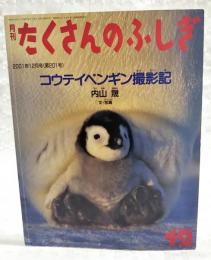 コウテイペンギン撮影記