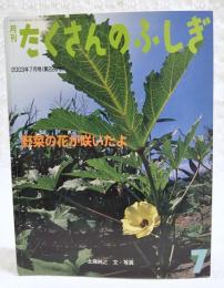 野菜の花が咲いたよ