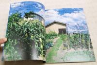 野菜の花が咲いたよ