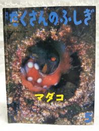 マダコ