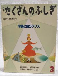 写真の国のアリス