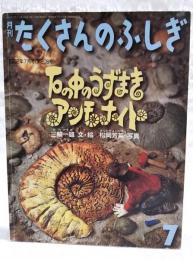 石の中のうずまきアンモナイト