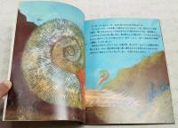 石の中のうずまきアンモナイト