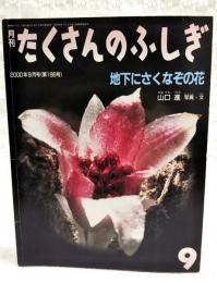 地下にさくなぞの花