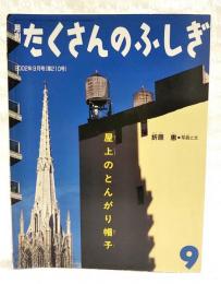 屋上のとんがり帽子