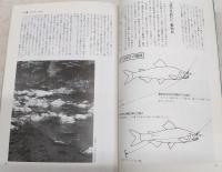 高知のアユ釣り