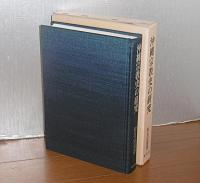 沖縄宗教史の研究